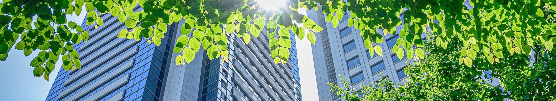 ビルと木漏れ日 | ツミキの不動産株式会社